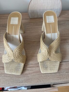 Dolce Vita Raffia Block Heel Sandal | 8.5